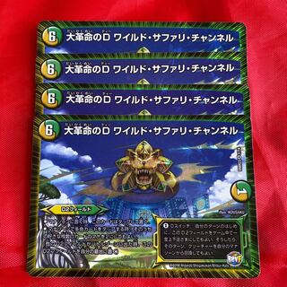 大革命のD ワイルド・サファリ・チャンネル