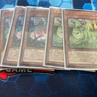 未界域のジャッカロープ&未界域のツチノコ