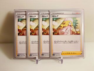 【即日発送】1枚25円　カトレア