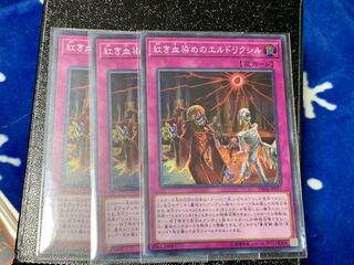 紅き血染めのエルドリクシル 3枚 等