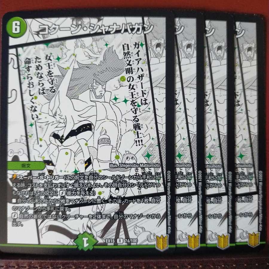 セット割引 コクーン・シャナバガン