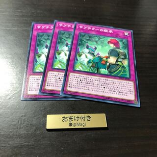 サブテラーの継承 ノーマル