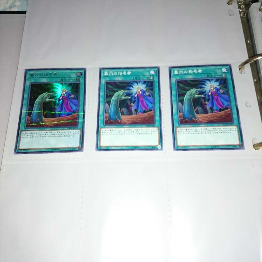 墓穴の指名者(3枚セット)※土日の発送は行っておりません。