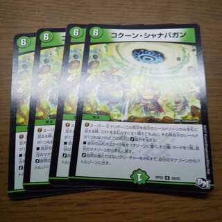 コクーン・シャナバガン