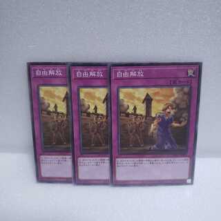 自由解放 ノーマル