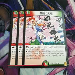 蒼龍の大地　3枚