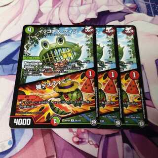 イッコダス・ケイジ｜種デスティニー