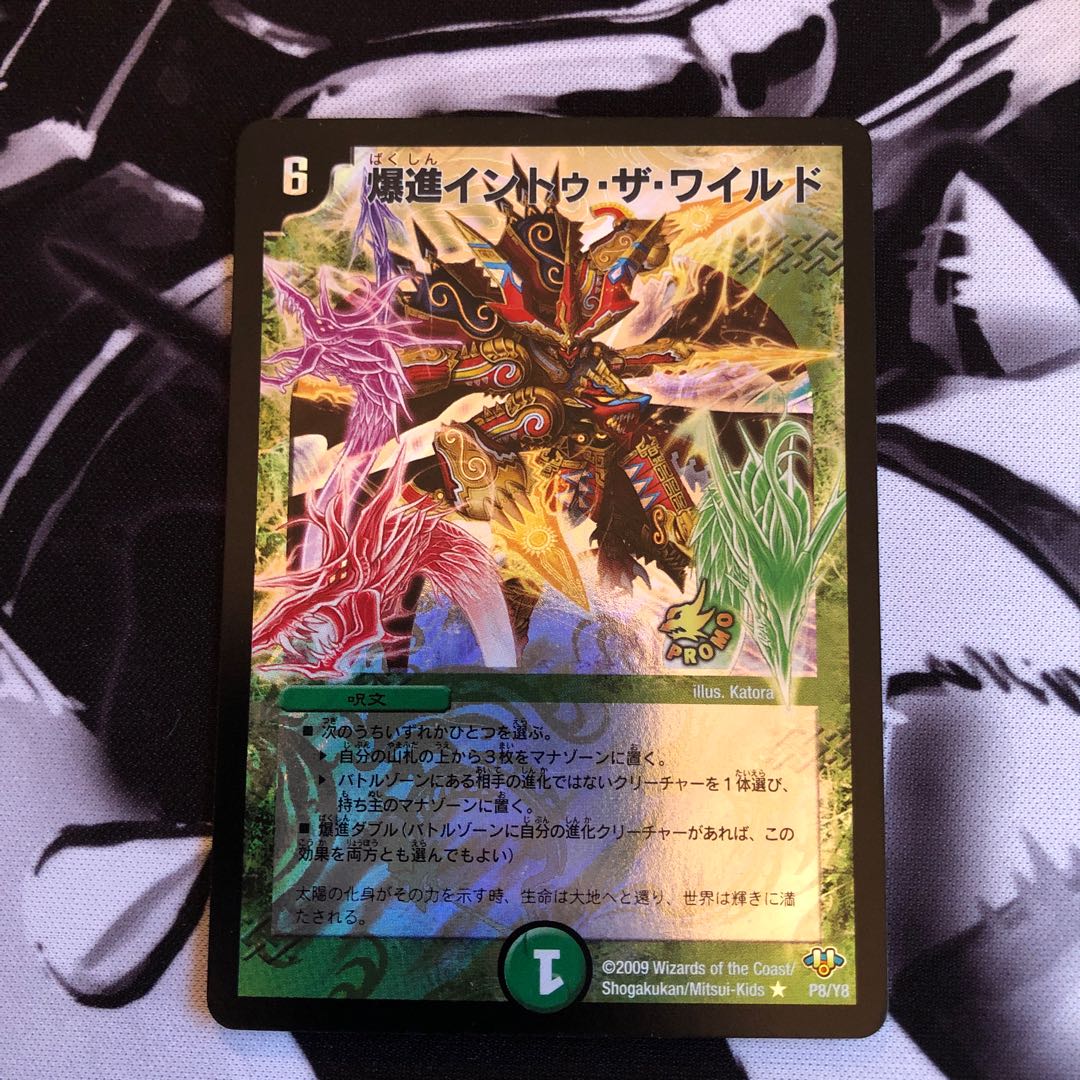 爆進イントゥ・ザ・ワイルド