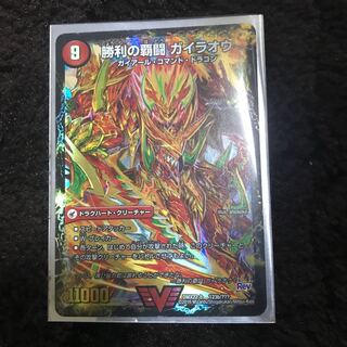 Supreme Fighting Shogun Gaiou Burn｜Victorious Supreme Fighting Gaiou