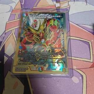 切札勝太&カツキング -熱血の物語- DSR