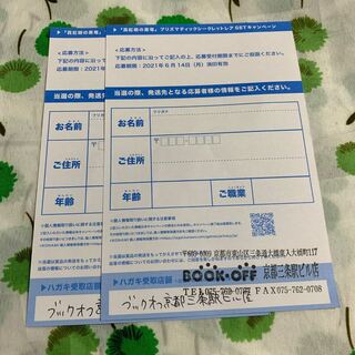 真紅眼の黒竜 キャンペーンハガキ2枚セット