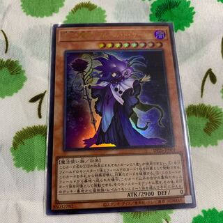 時花の賢者-フルール・ド・サージュ ウルトラレア