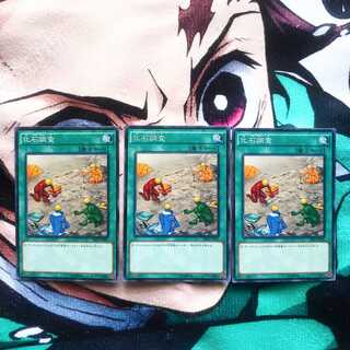 鮭イクラ商店 52 化石調査 ノーパラ3枚