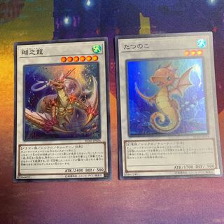 たつのこ スーパーレア セット