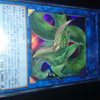 捕食植物ヴェルテ・アナコンダ ウルトラレア