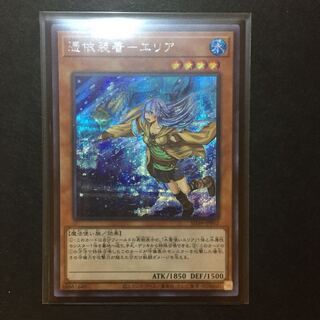 憑依装着-エリア 絵違いシク