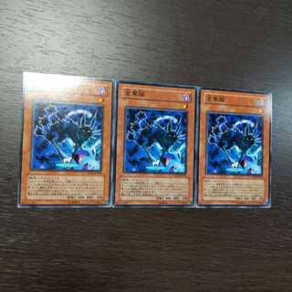 金華猫 ノーマル