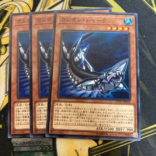 マドレース3563ランタン・シャーク ノーマル