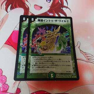 爆進イントゥザワイルド dc 2枚