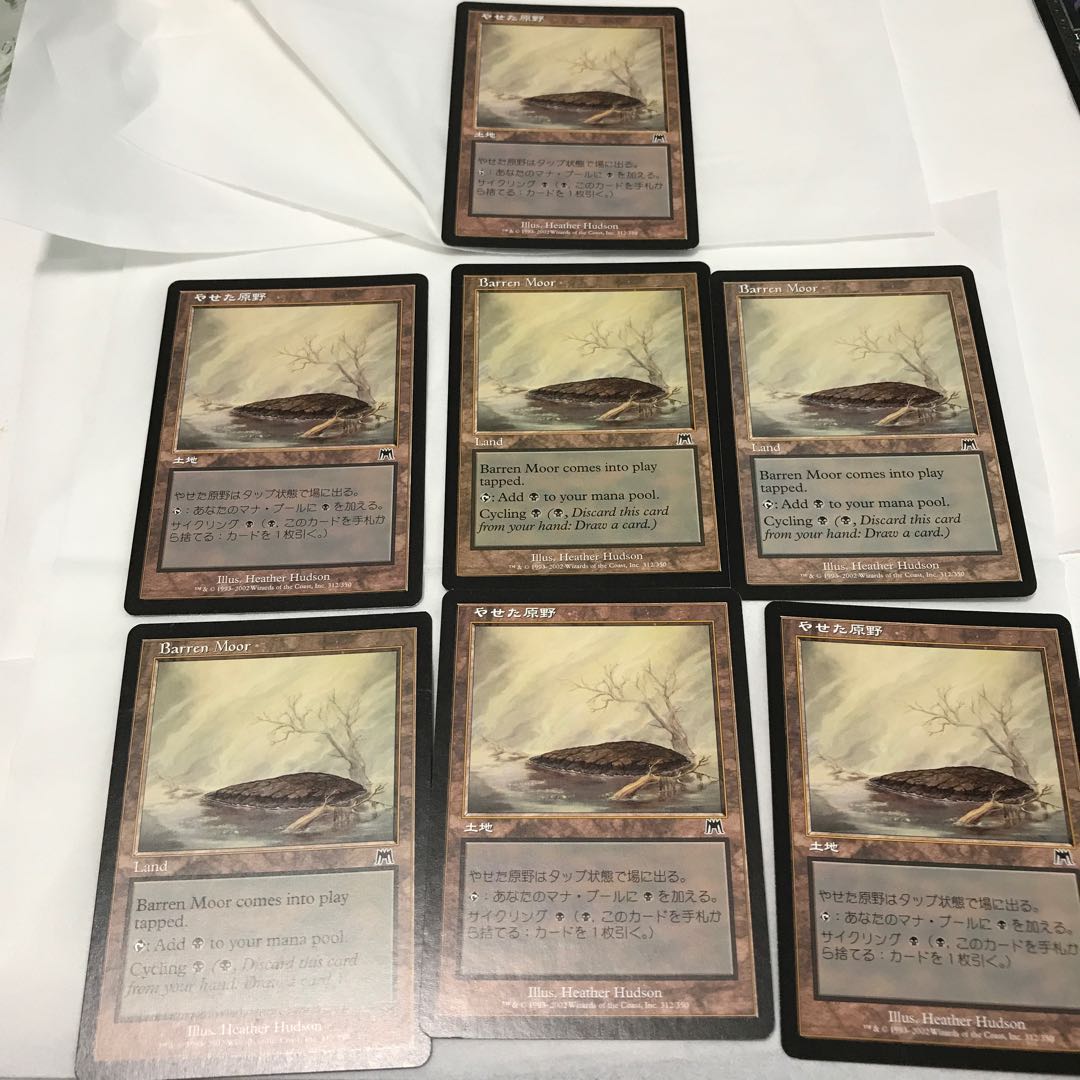 やせた原野 コモン