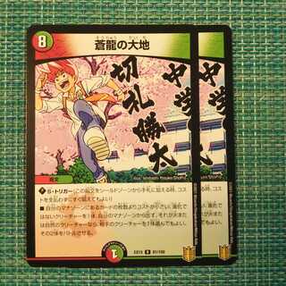 蒼龍の大地 ２枚セット