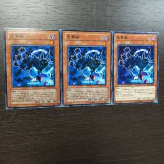 金華猫 ノーマル