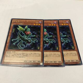 捕食植物オフリス・スコーピオ レア