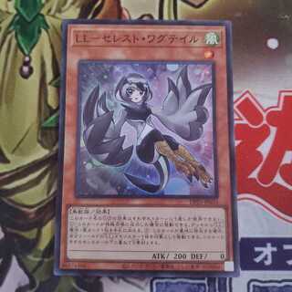 LL-セレスト・ワグテイル