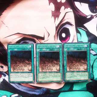 鮭イクラ商店 65 トライアングルエリア ノーマル3枚