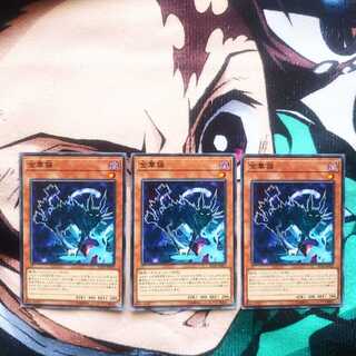 鮭イクラ商店 66 金華猫 ノーマル3枚