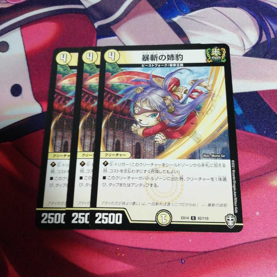 暴斬の姉豹3枚セット