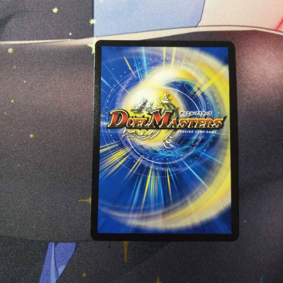 煌龍 サッヴァーク(専用)