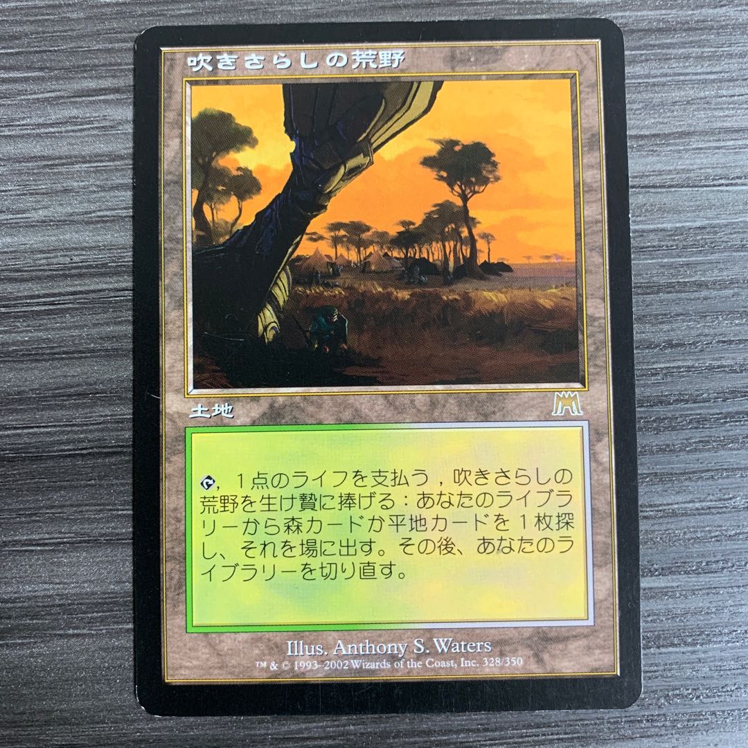 MTG 吹きさらしの荒野 日本語 1枚