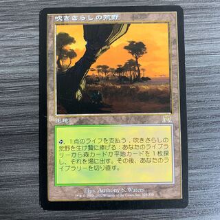 MTG 吹きさらしの荒野 日本語 1枚