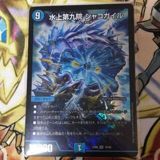 シャコガイル