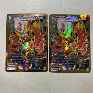 切札勝太&カツキング -熱血の物語- DSR 2枚