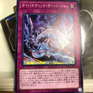 サイバネティック・オーバーフロー