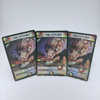 灰燼と天門の儀式 VR

3枚セット