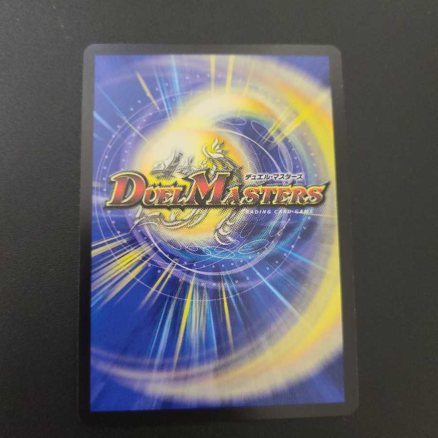 龍風混成 ザーディクリカ