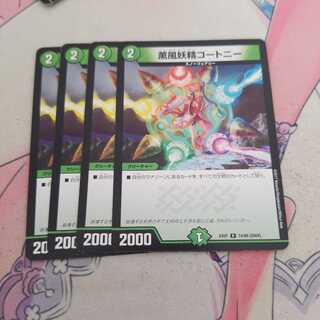 薫風妖精コートニー R