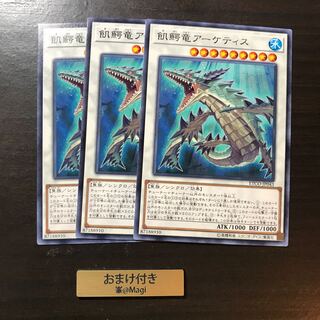 飢鰐竜アーケティス ノーマル