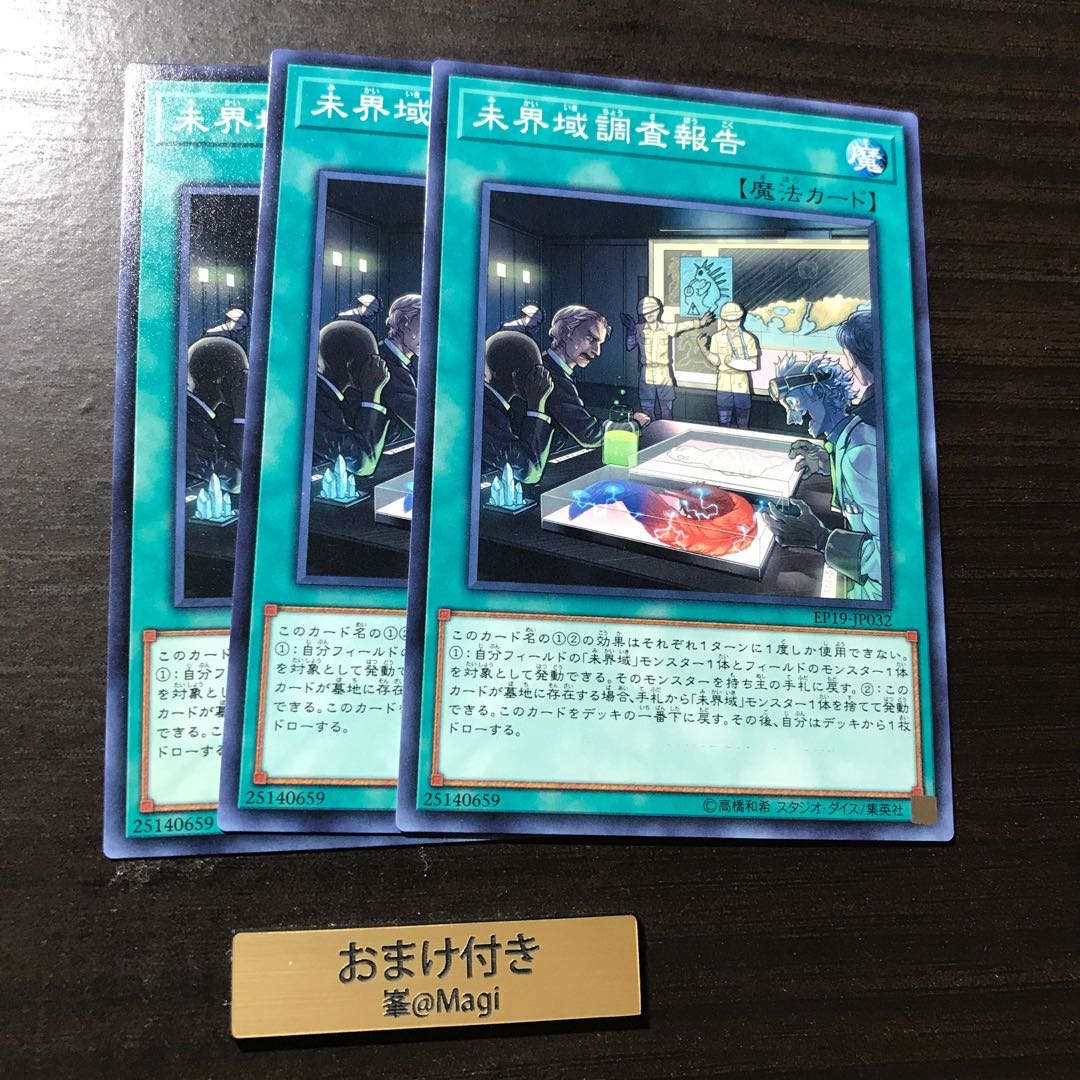 未界域調査報告 ノーマル