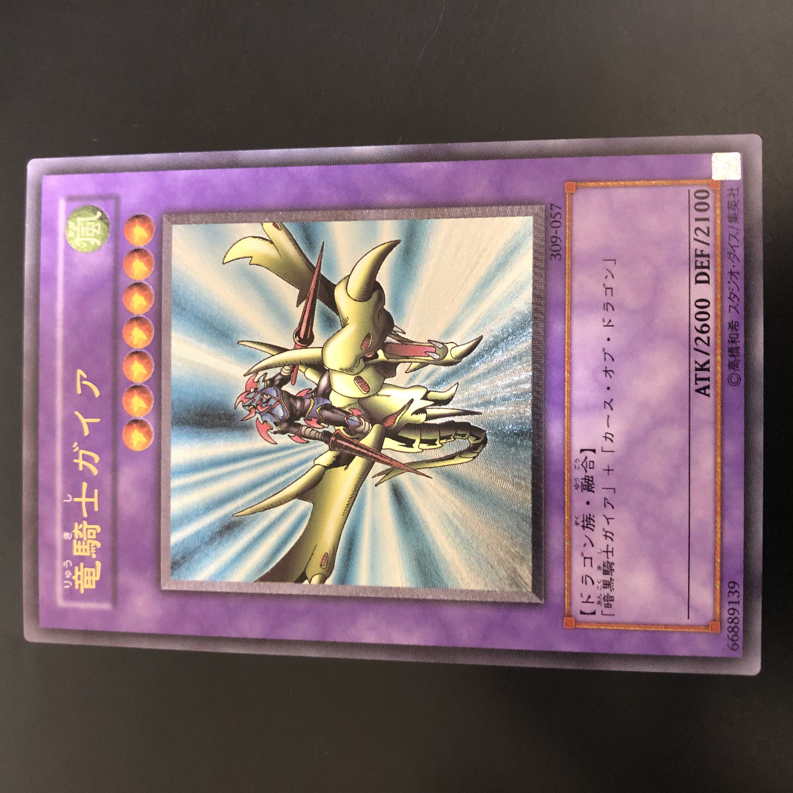 【ー100円/日】竜騎士ガイア　レリーフ