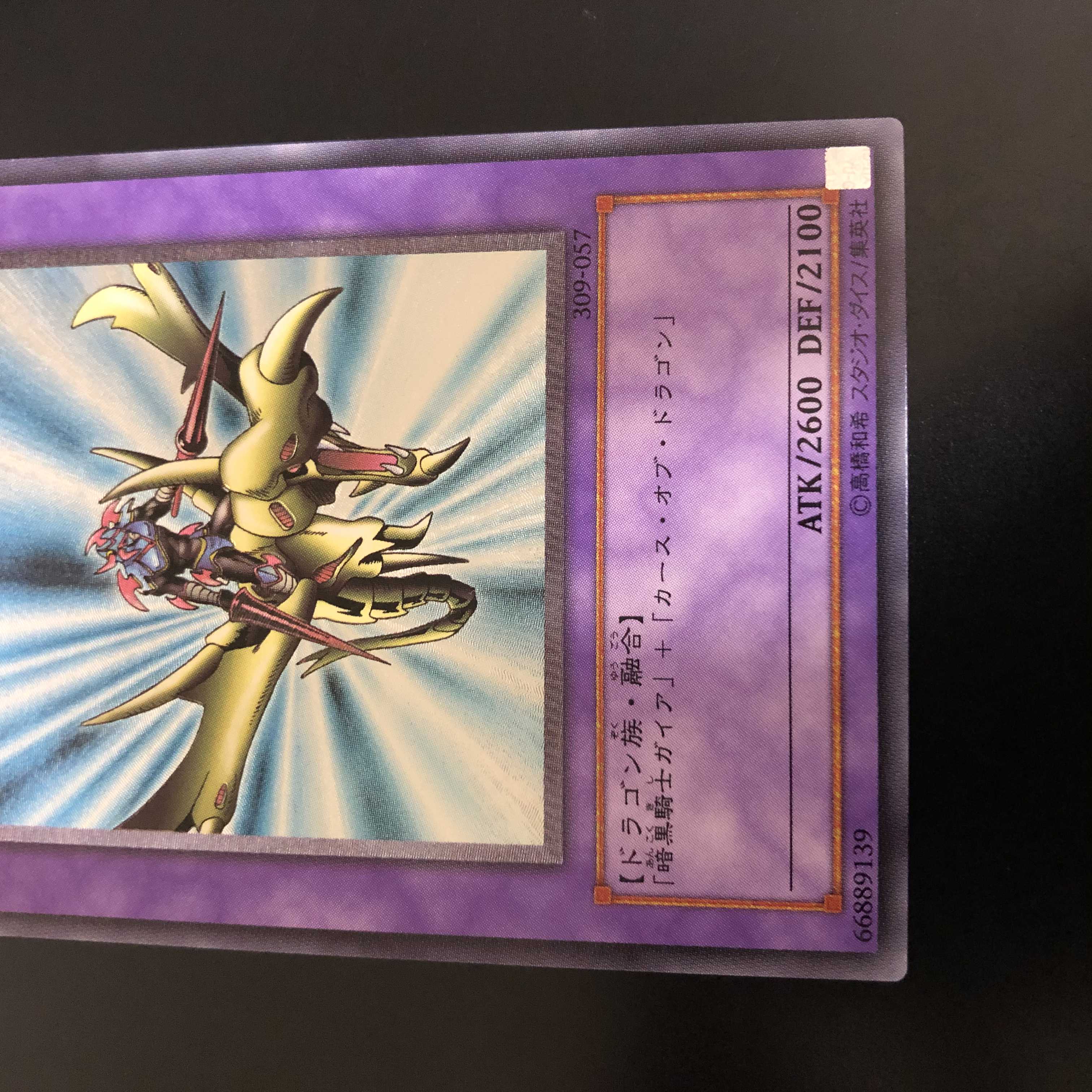 【ー100円/日】竜騎士ガイア　レリーフ