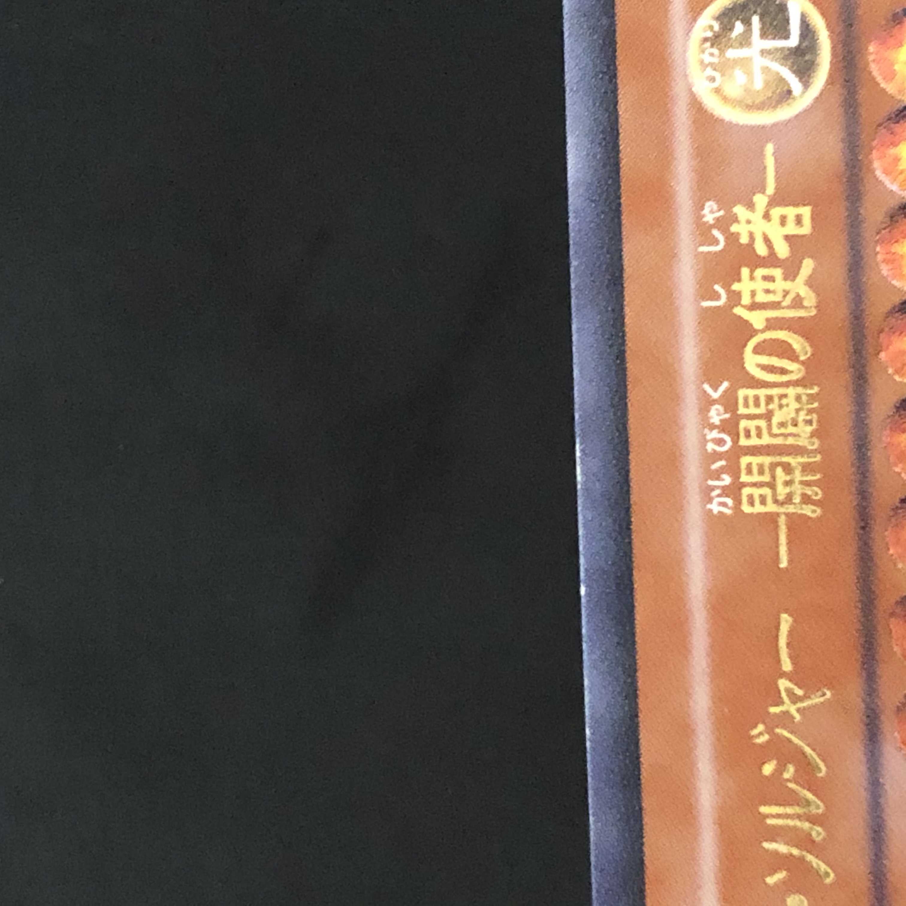 【-100円/日】カオス・ソルジャー -開闢の使者- レリーフ