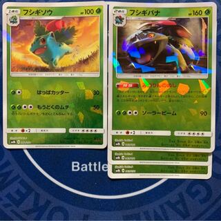 フシギソウ　フシギバナ★