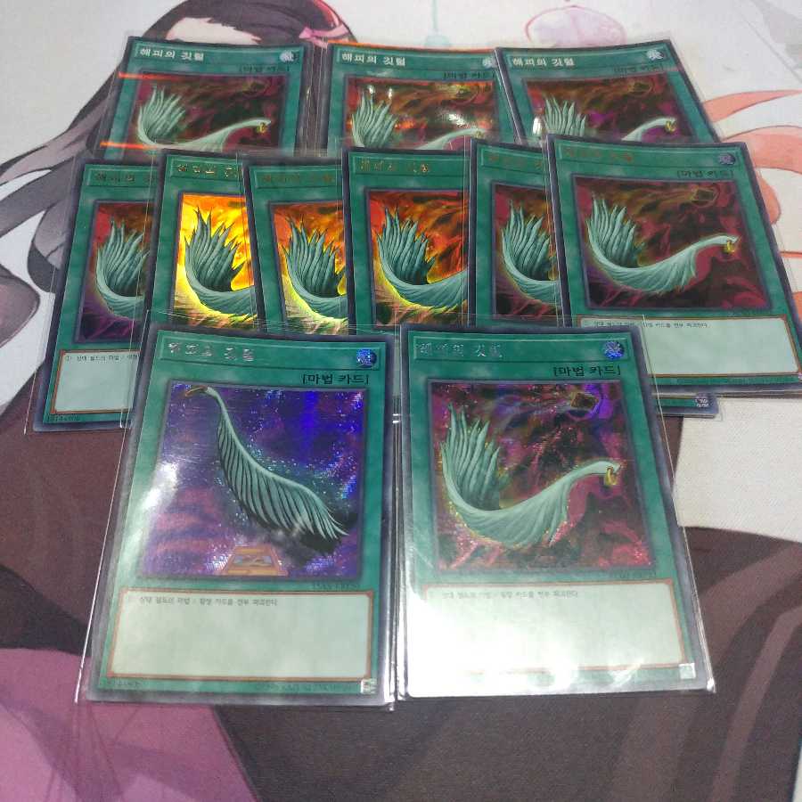 韓国 ハーピィの羽根帚 シークレット スーパー ウルトラ