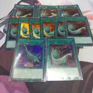 韓国　ハーピィの羽根帚　シークレット　スーパー　ウルトラ