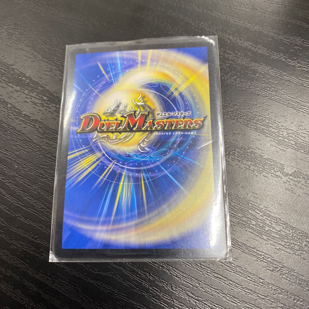 「絶対の楯騎士」