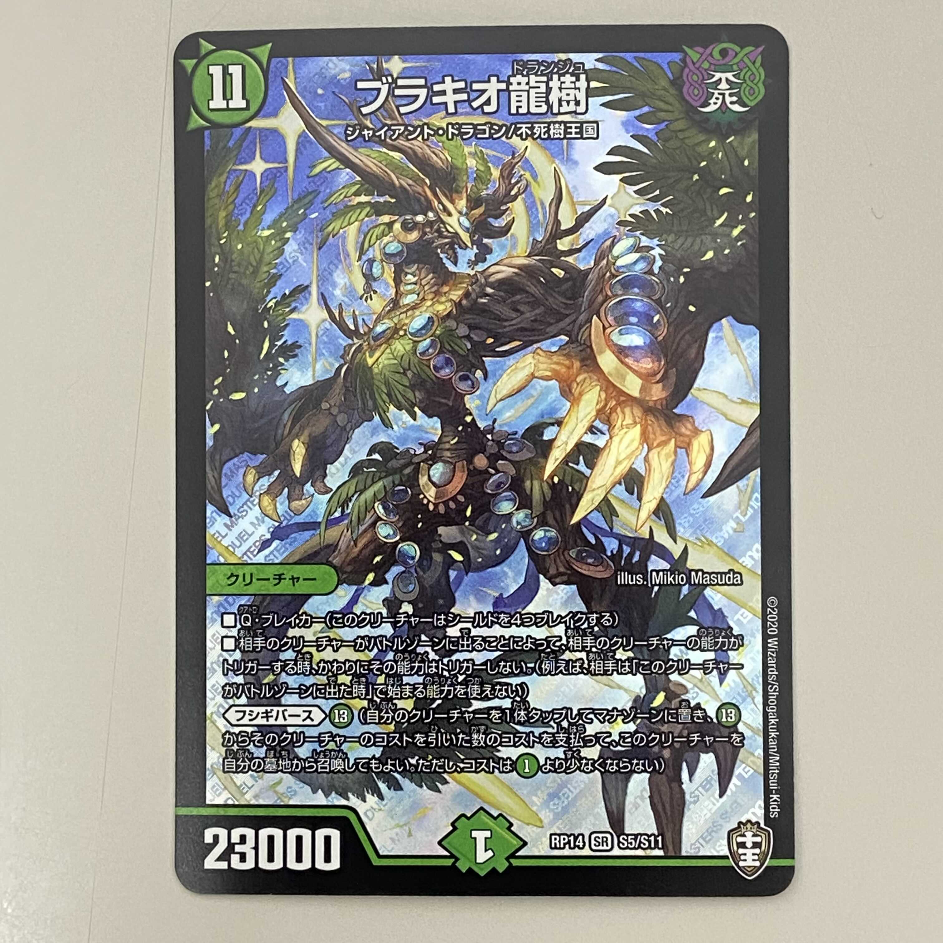 ブラキオ龍樹 4枚